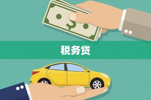 南雄税务贷