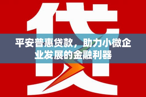 南雄平安普惠贷款，助力小微企业发展的金融利器