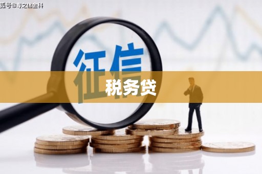 南雄税务贷