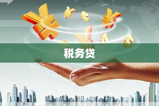 南雄税务贷
