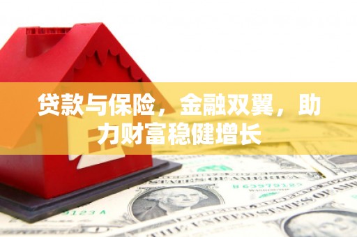 南雄贷款与保险，金融双翼，助力财富稳健增长