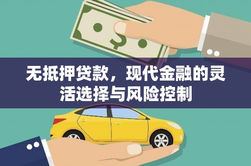 南雄无抵押贷款，现代金融的灵活选择与风险控制