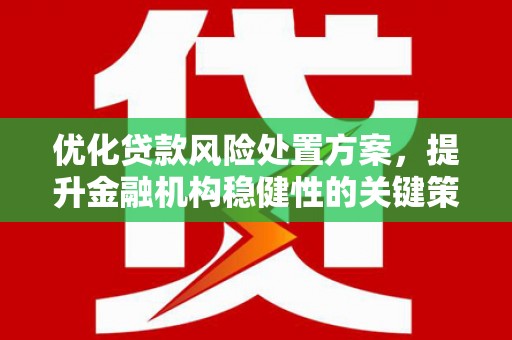 南雄优化贷款风险处置方案，提升金融机构稳健性的关键策略