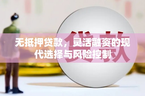 南雄无抵押贷款，灵活融资的现代选择与风险控制