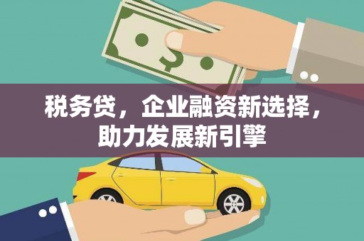 南雄税务贷，企业融资新选择，助力发展新引擎