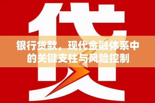 南雄银行贷款，现代金融体系中的关键支柱与风险控制