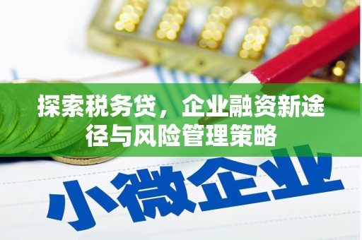 南雄探索税务贷，企业融资新途径与风险管理策略