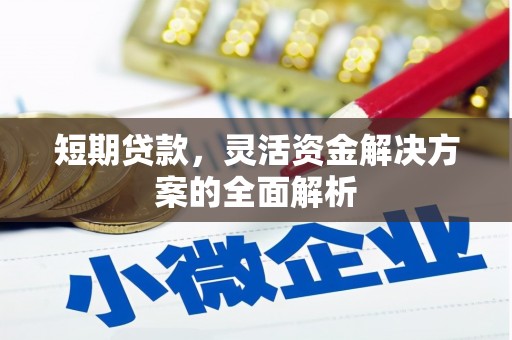 南雄短期贷款，灵活资金解决方案的全面解析
