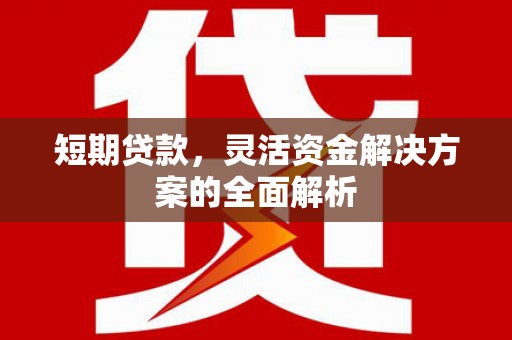 南雄短期贷款，灵活资金解决方案的全面解析