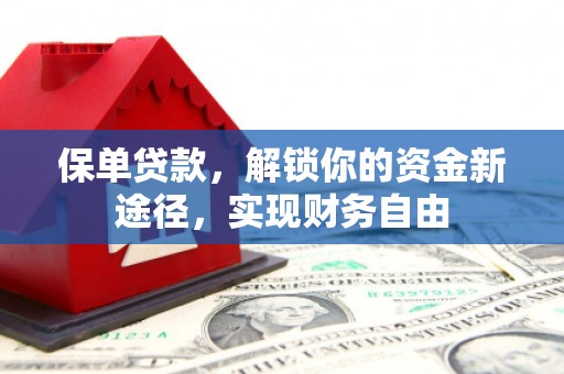 南雄保单贷款，解锁你的资金新途径，实现财务自由