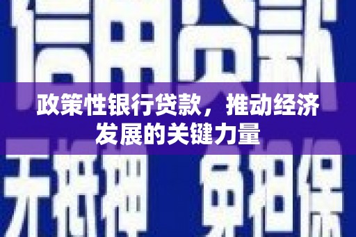 南雄政策性银行贷款，推动经济发展的关键力量