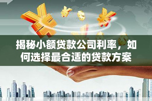 南雄揭秘小额贷款公司利率，如何选择最合适的贷款方案