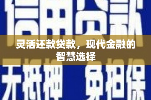 南雄灵活还款贷款，现代金融的智慧选择
