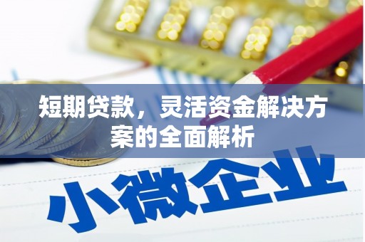 南雄短期贷款，灵活资金解决方案的全面解析
