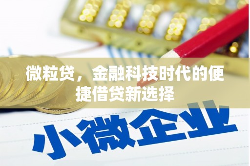 南雄微粒贷，金融科技时代的便捷借贷新选择