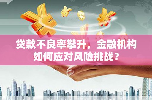 南雄贷款不良率攀升，金融机构如何应对风险挑战？
