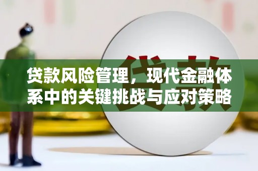 南雄贷款风险管理，现代金融体系中的关键挑战与应对策略