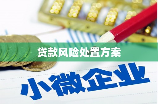 南雄贷款风险处置方案