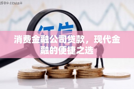 南雄消费金融公司贷款，现代金融的便捷之选