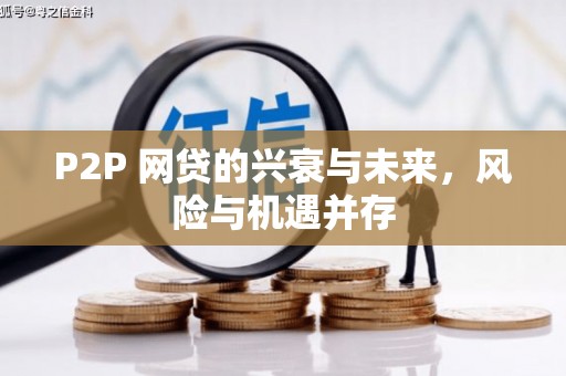 南雄P2P 网贷的兴衰与未来，风险与机遇并存