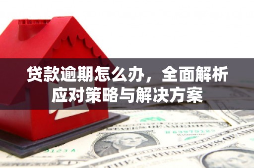 南雄贷款逾期怎么办，全面解析应对策略与解决方案