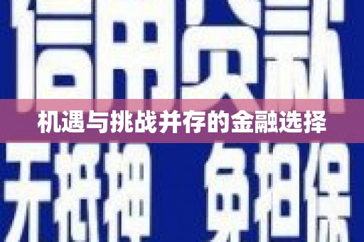 南雄机遇与挑战并存的金融选择