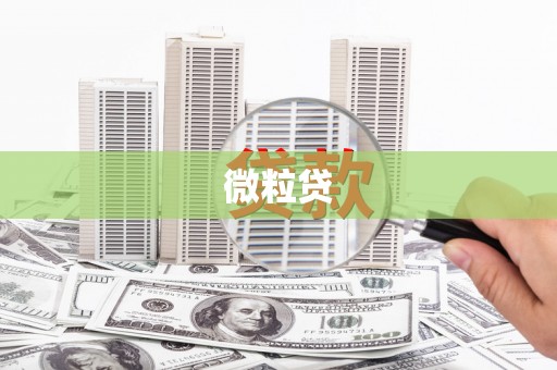 南雄微粒贷